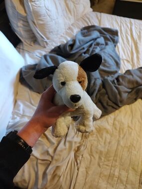 Webkinz Jack Russell